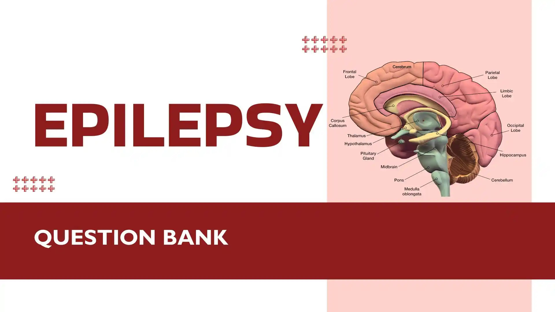 antiepileptics question bank