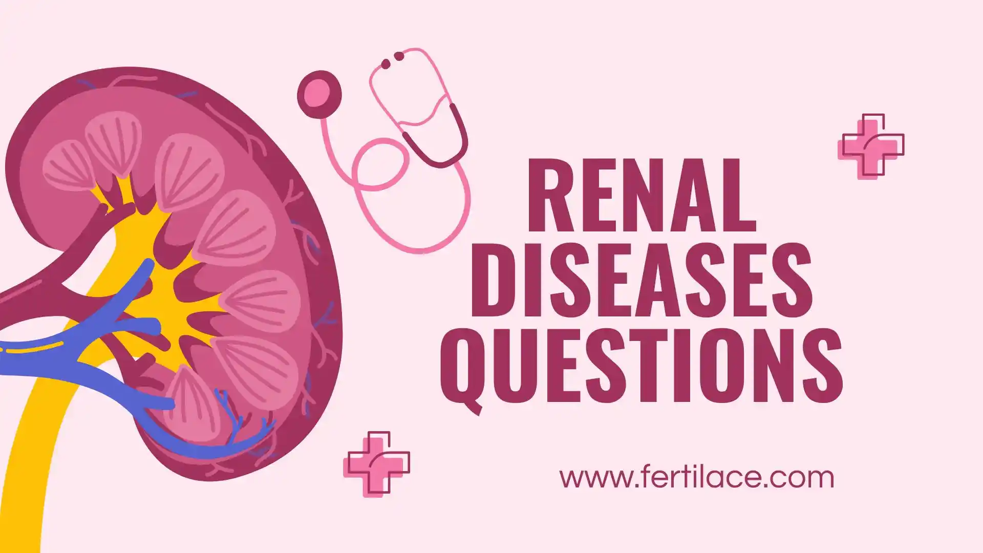 renal diseases questions bank